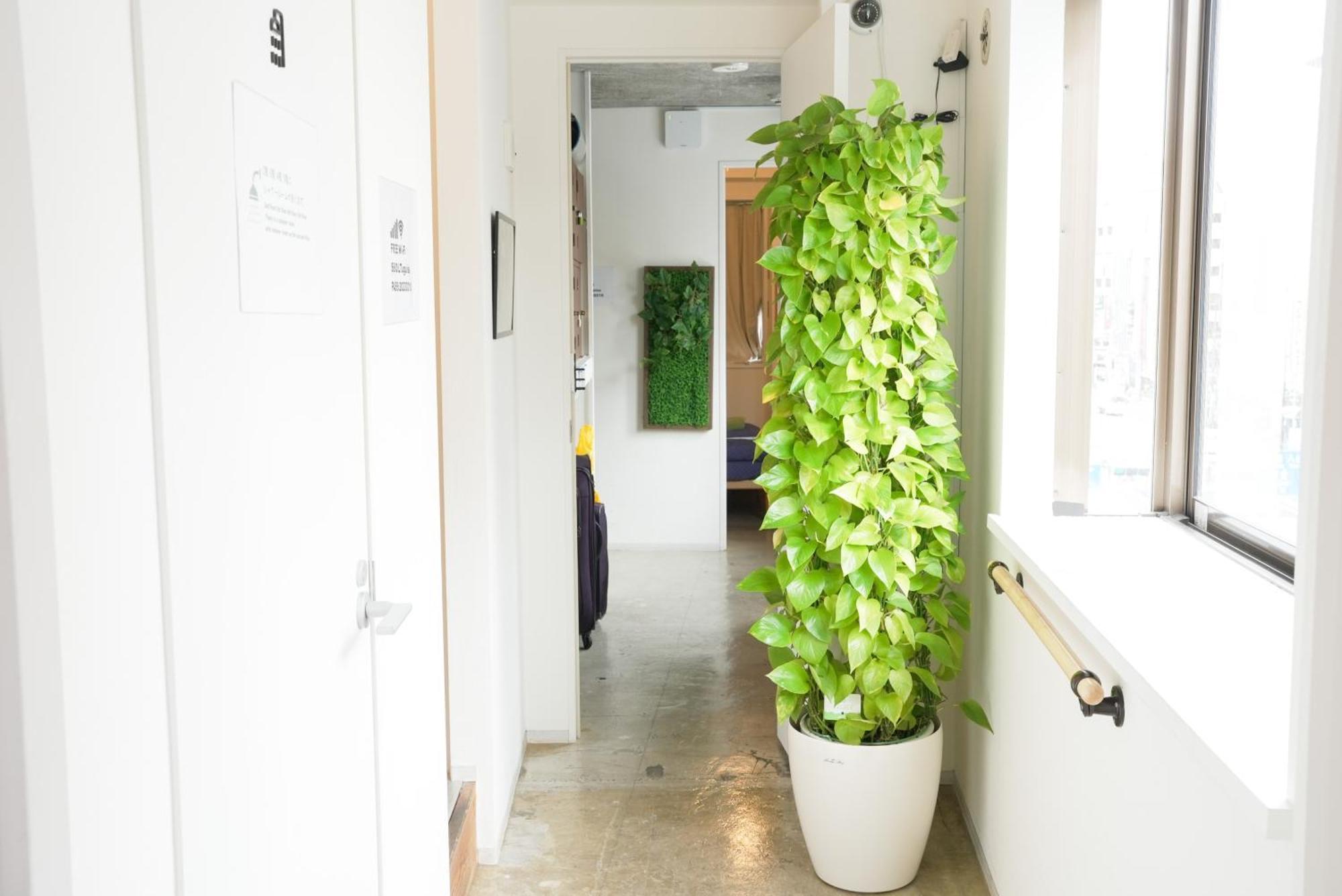 Hostel Lodging Tokyo Uguisudani Экстерьер фото