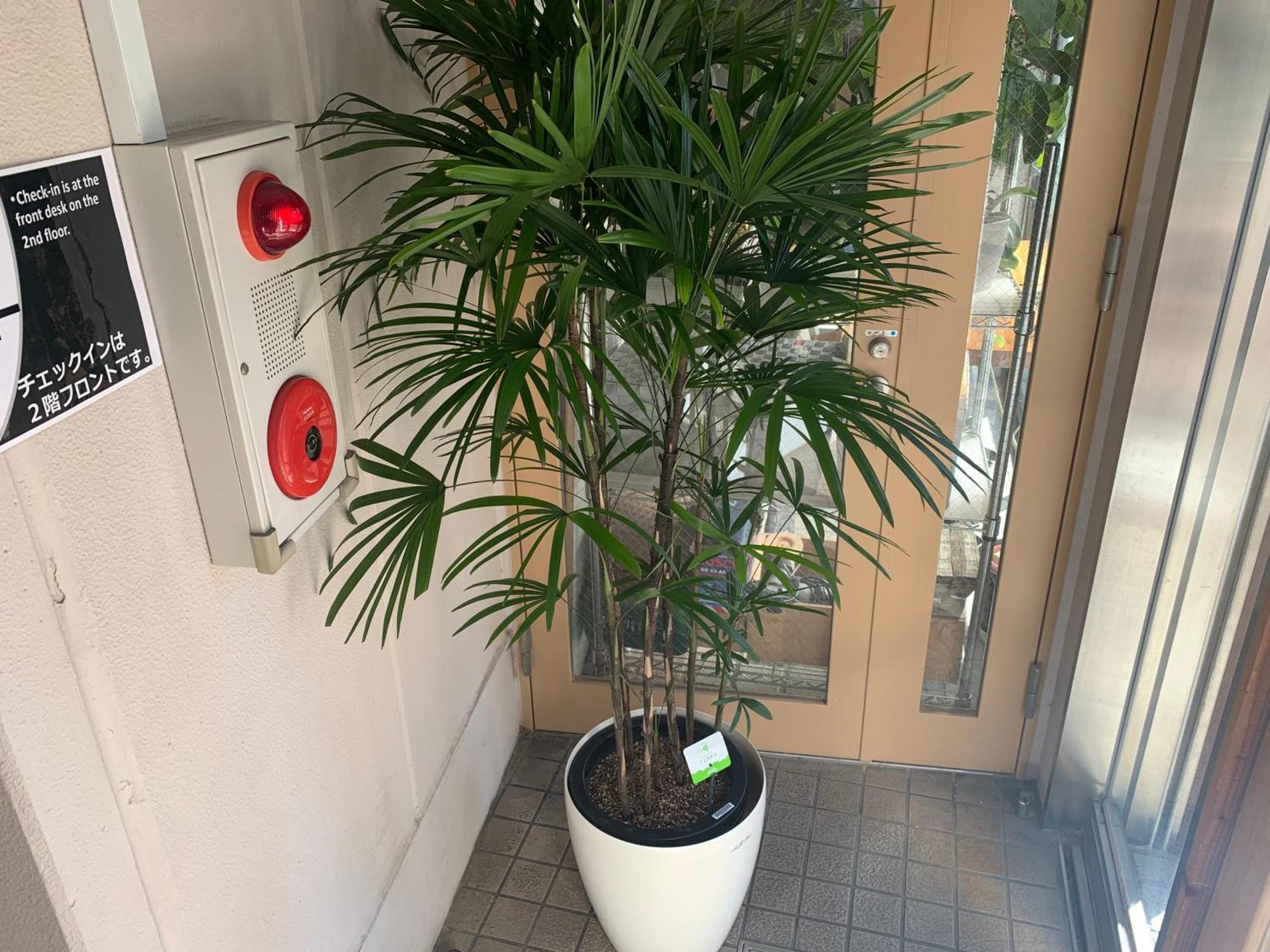 Hostel Lodging Tokyo Uguisudani Экстерьер фото